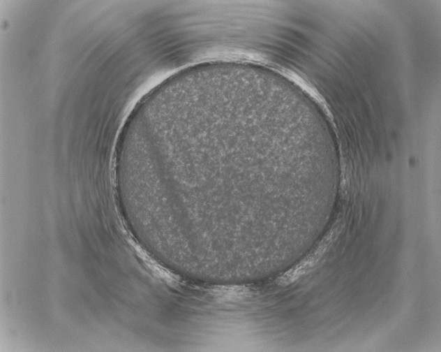 X0000061731037200512302140