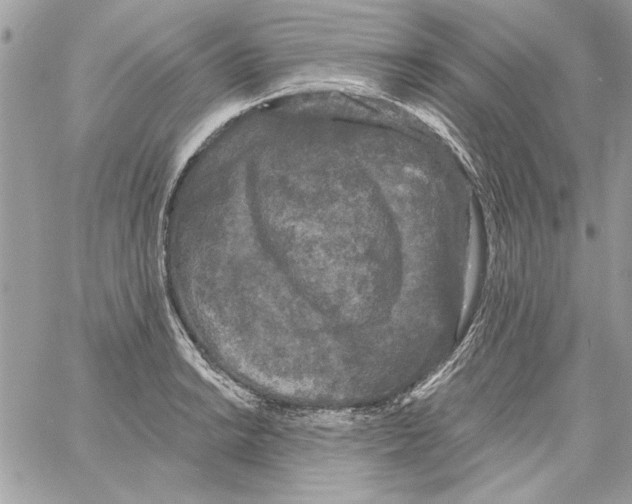 X0000061731038200512302140