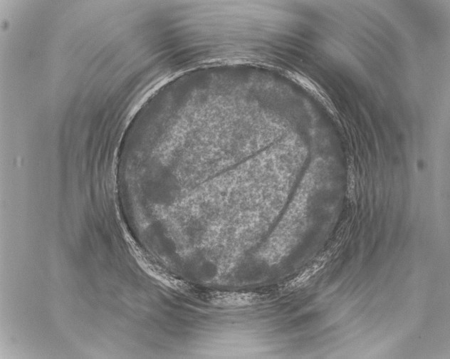 X0000061731039200512302140