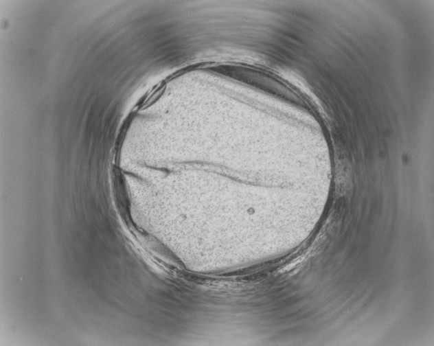 X0000061731040200512302140