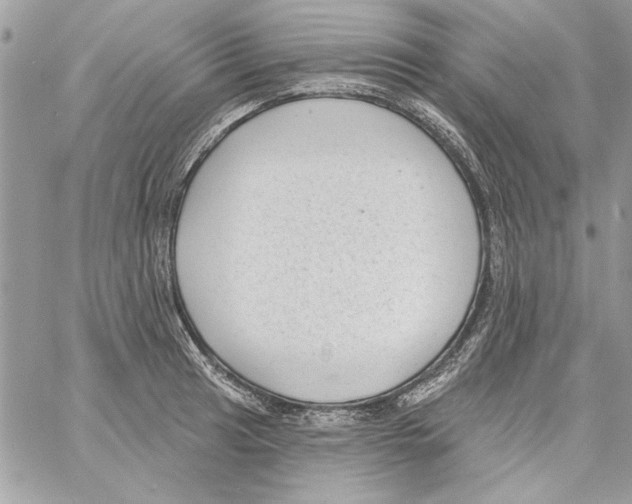 X0000061731041200512302140