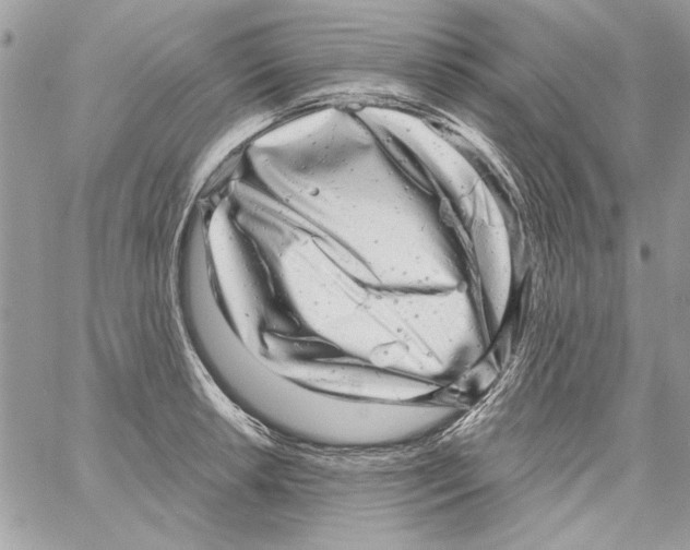 X0000061731042200512302140