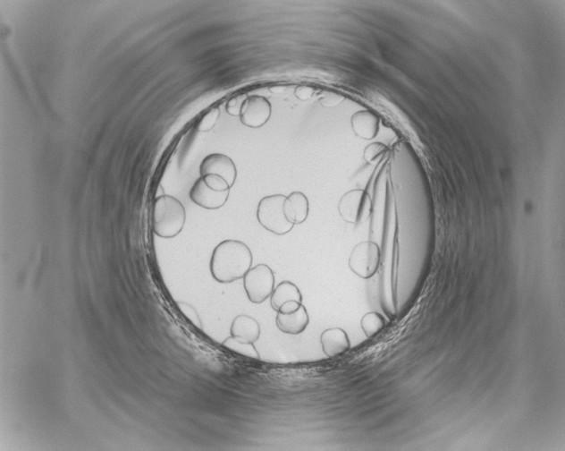 X0000061731044200512302140