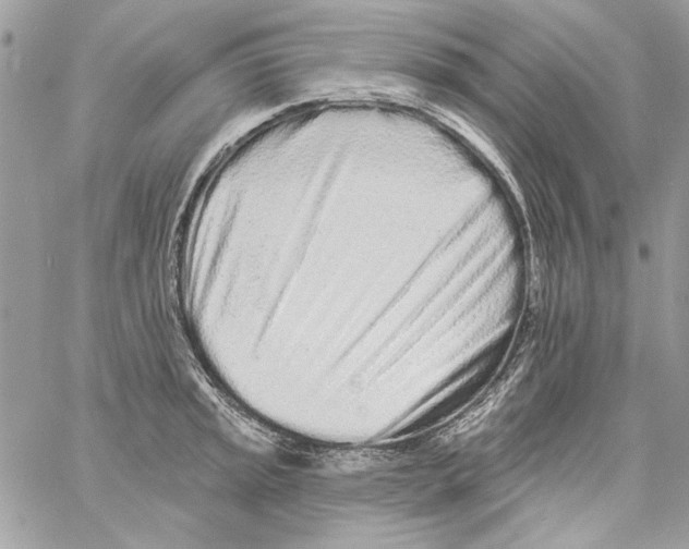 X0000061731045200512302140