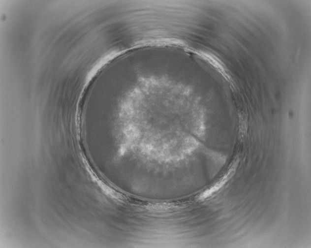 X0000061731046200512302140