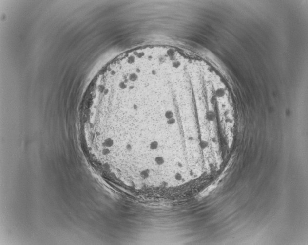 X0000061731048200512302140