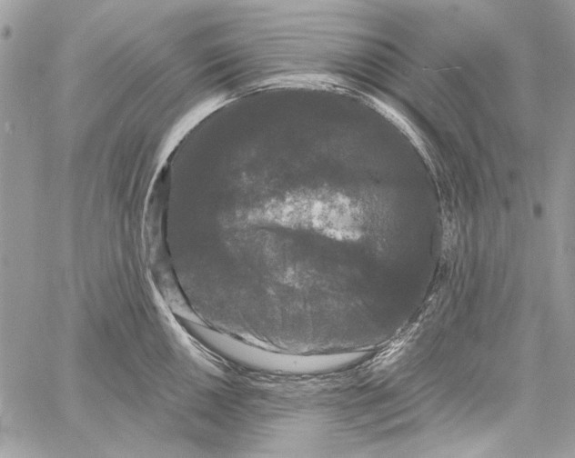 X0000061731050200512302141