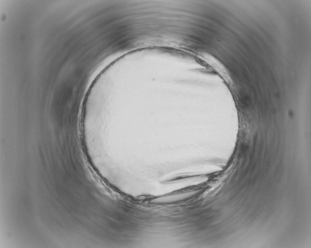 X0000061731052200512302141