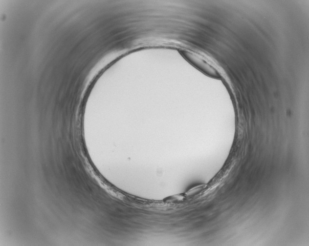 X0000061731053200512302141