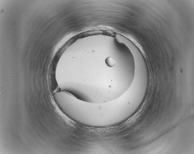 X0000061731054200512302141