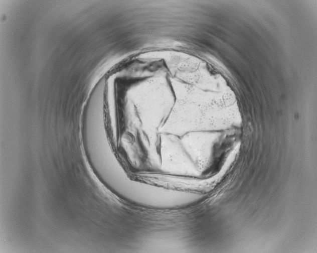 X0000061731055200512302141