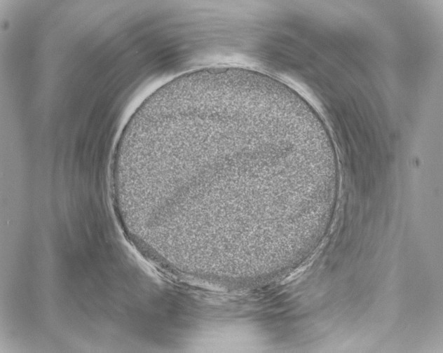 X0000061731056200512302141