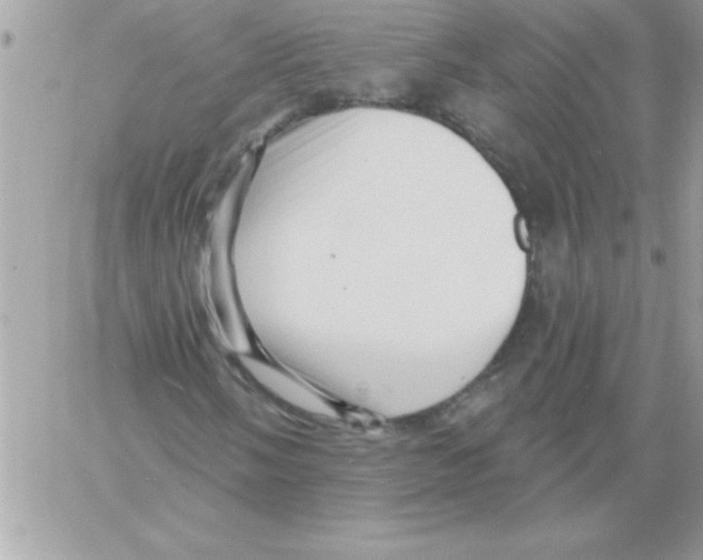 X0000061731058200512302140