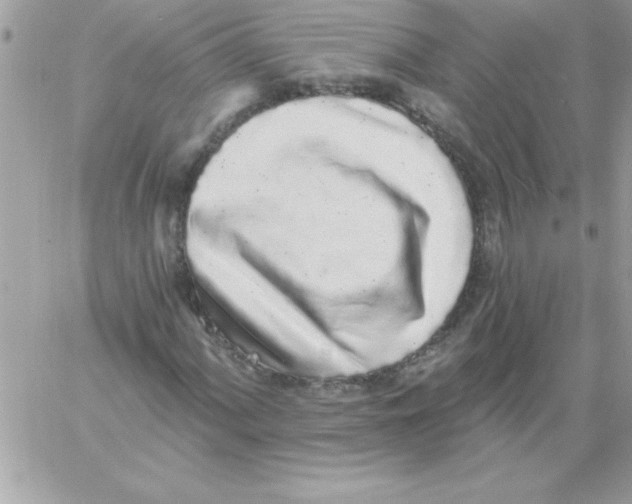 X0000061731060200512302140