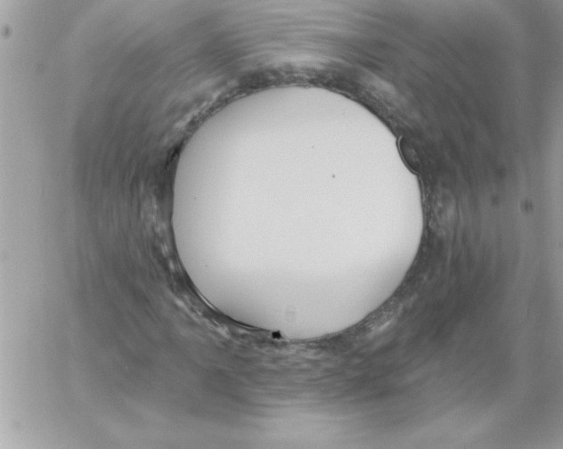 X0000061731061200512302140