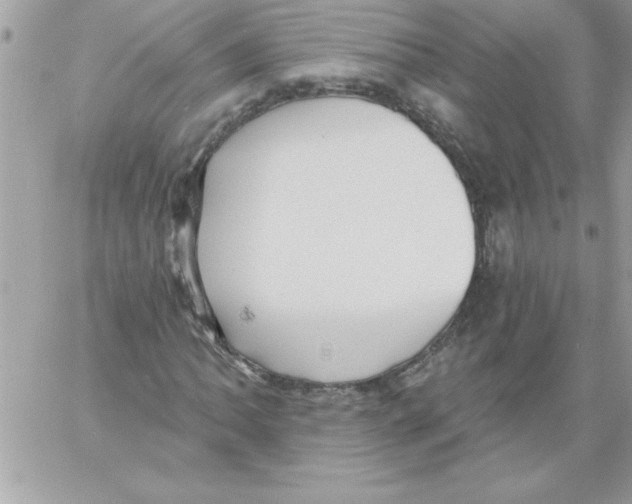 X0000061731062200512302140