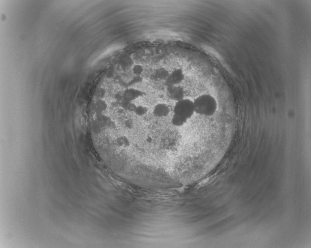 X0000061731063200512302140