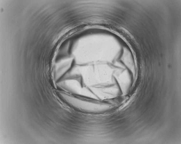 X0000061731065200512302140