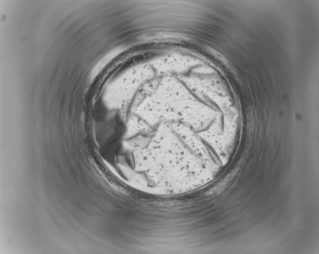 X0000061731066200512302140