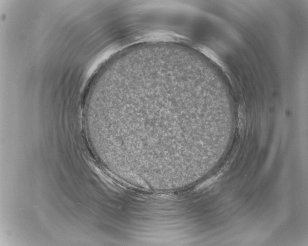 X0000061731067200512302140