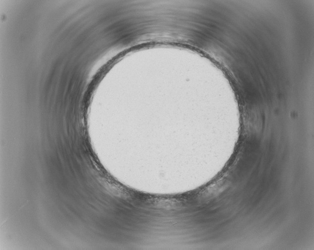 X0000061731070200512302140