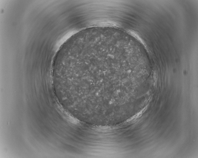 X0000061731071200512302140