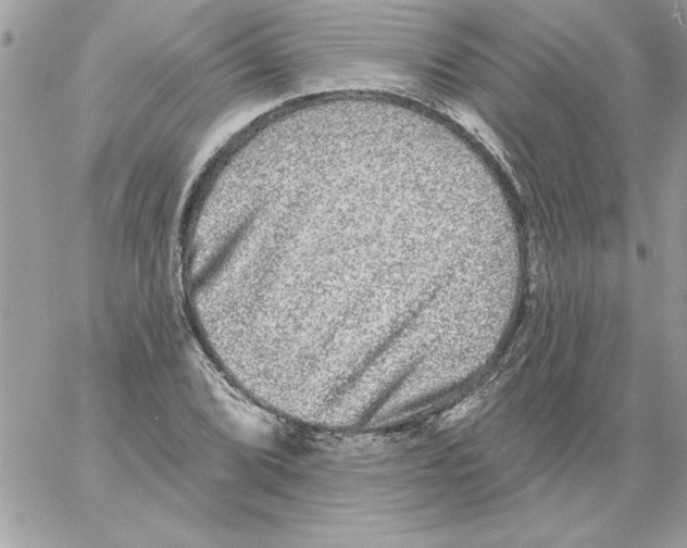 X0000061731072200512302140