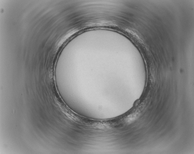 X0000061731073200512302140