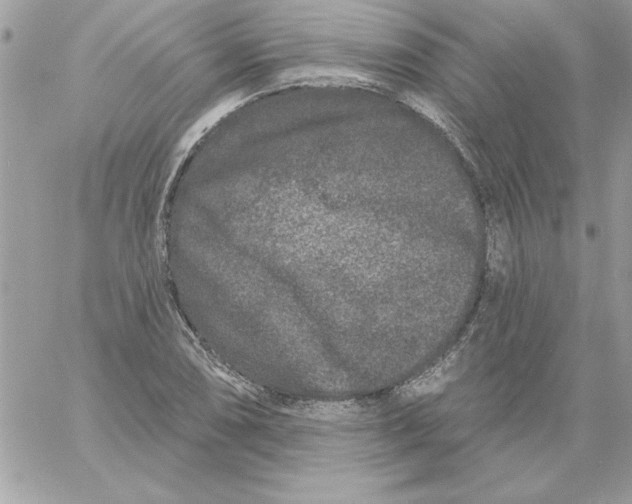 X0000061731074200512302140