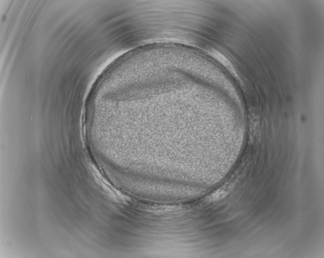 X0000061731076200512302139