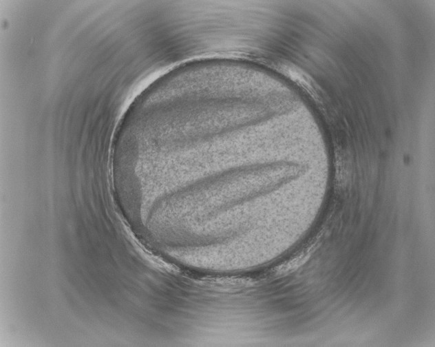 X0000061731077200512302139