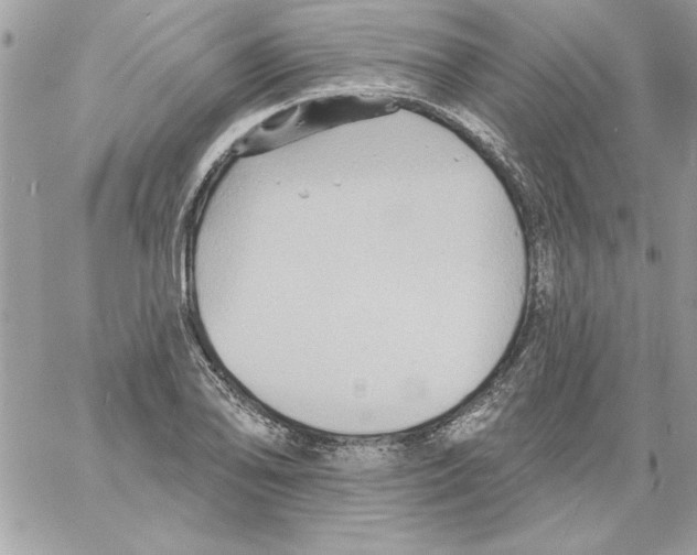 X0000061731078200512302139