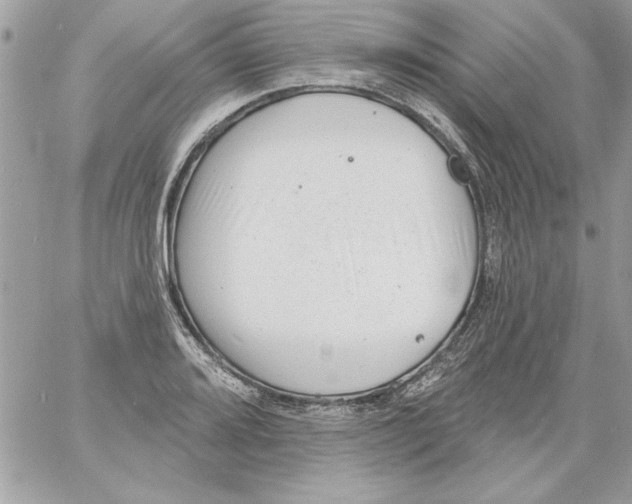 X0000061731080200512302139