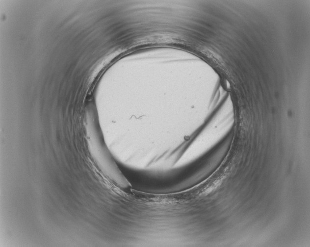 X0000061731081200512302139