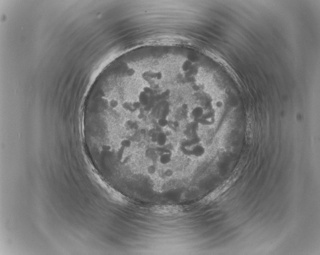 X0000061731083200512302139