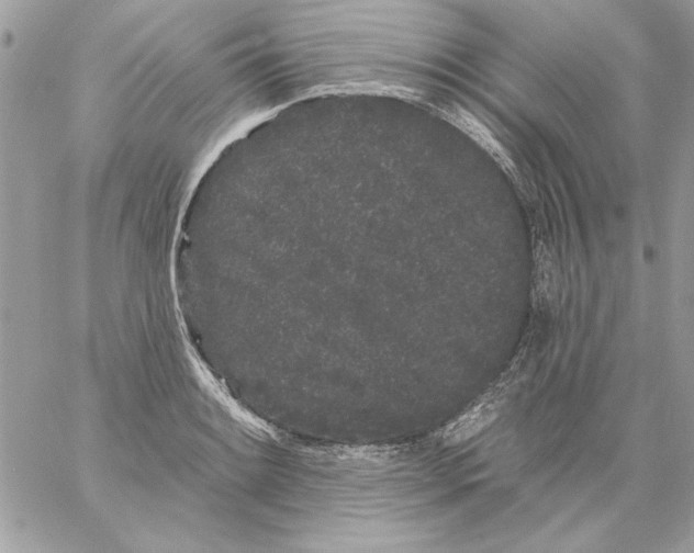 X0000061731084200512302139