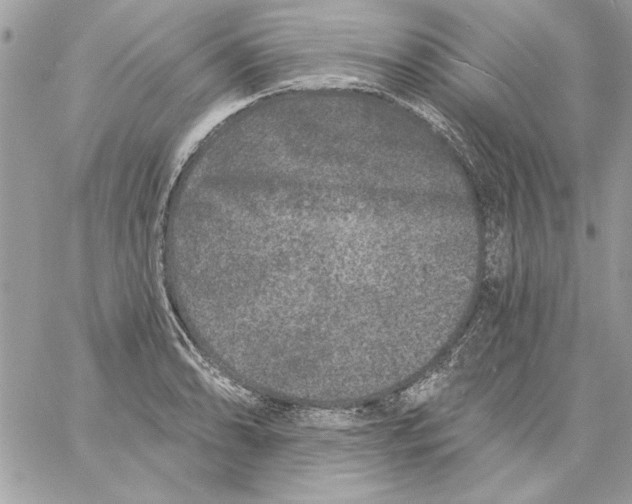 X0000061731086200512302139