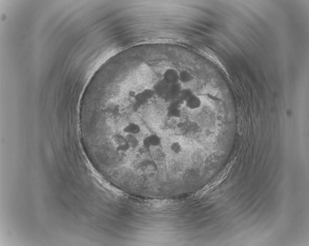 X0000061731087200512302139