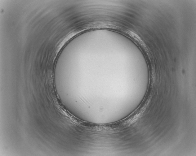 X0000061731089200512302139