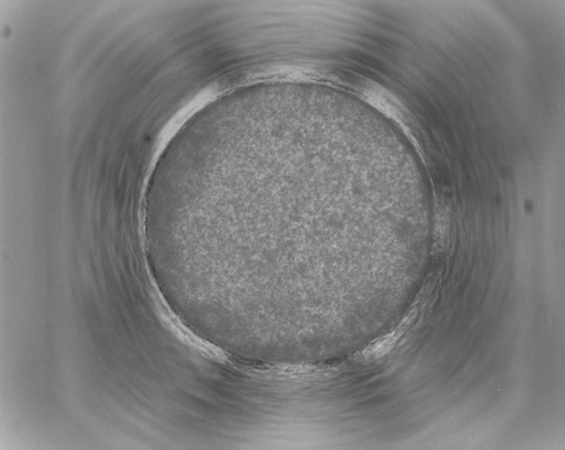 X0000061731090200512302139