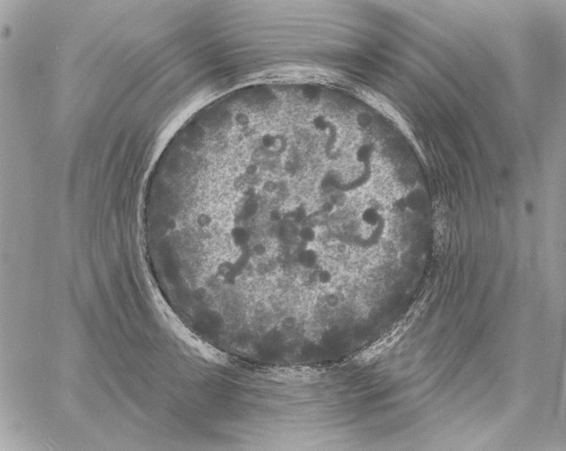 X0000061731091200512302139