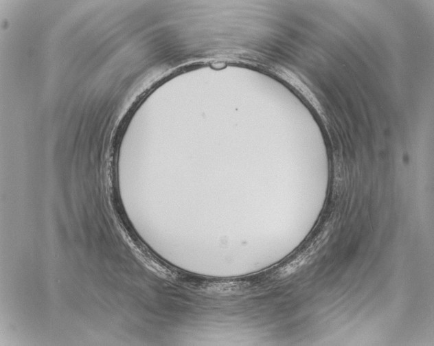 X0000061731093200512302139