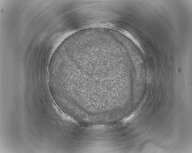 X0000061731094200512302139