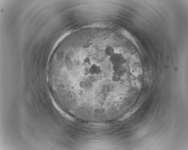 X0000061731095200512302139