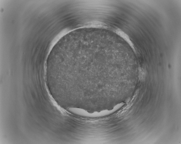 X0000061731099200512302139