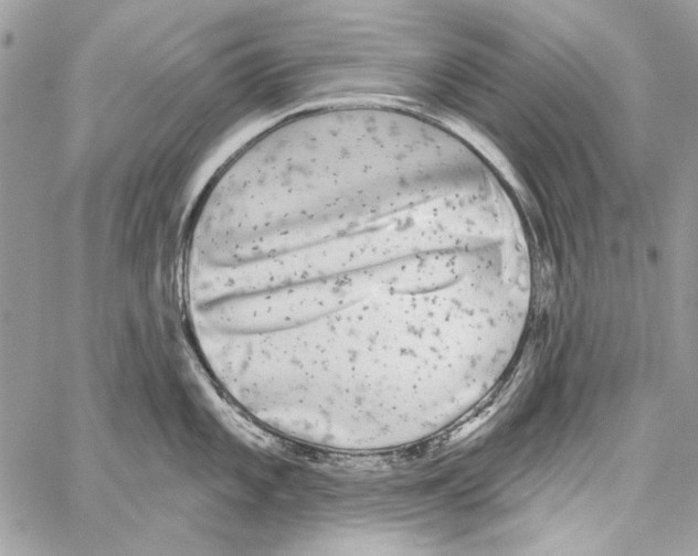 X0000061731101200512302139