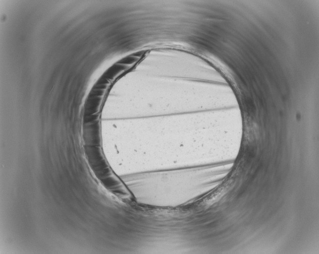 X0000061731102200512302139