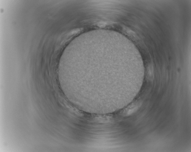 X0000061731105200512302138