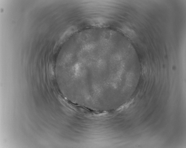 X0000061731106200512302138