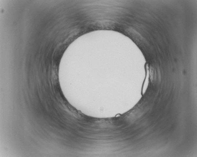 X0000061731107200512302138